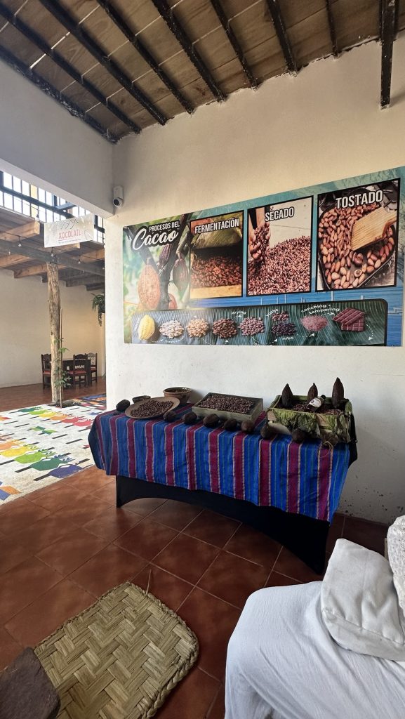 Xocomon Chocolate Workshop