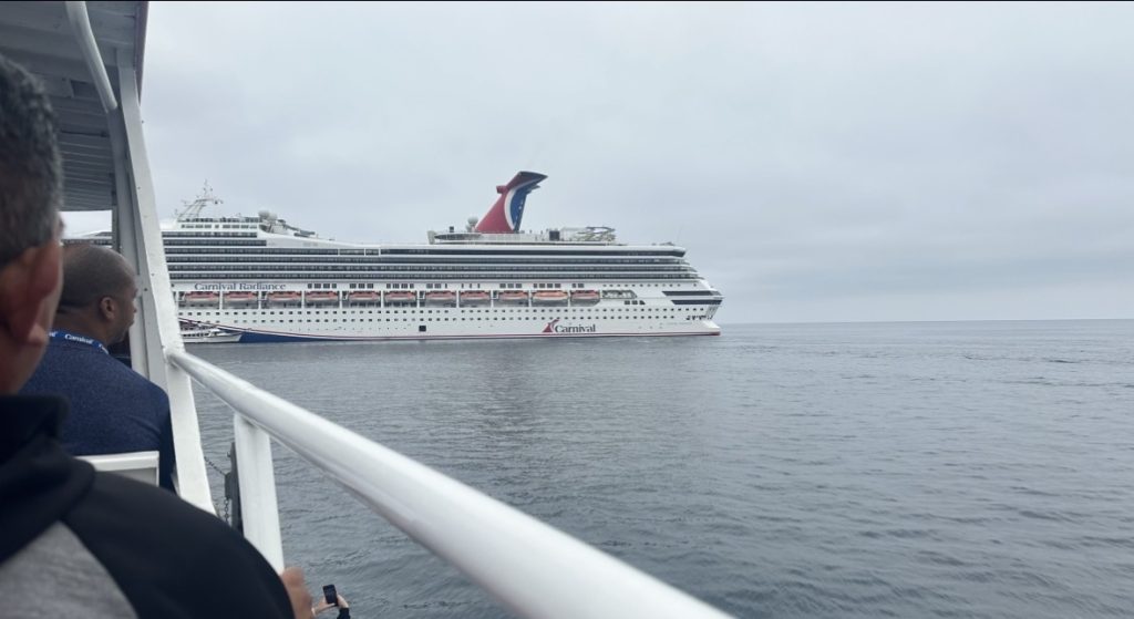 freedom of the seas