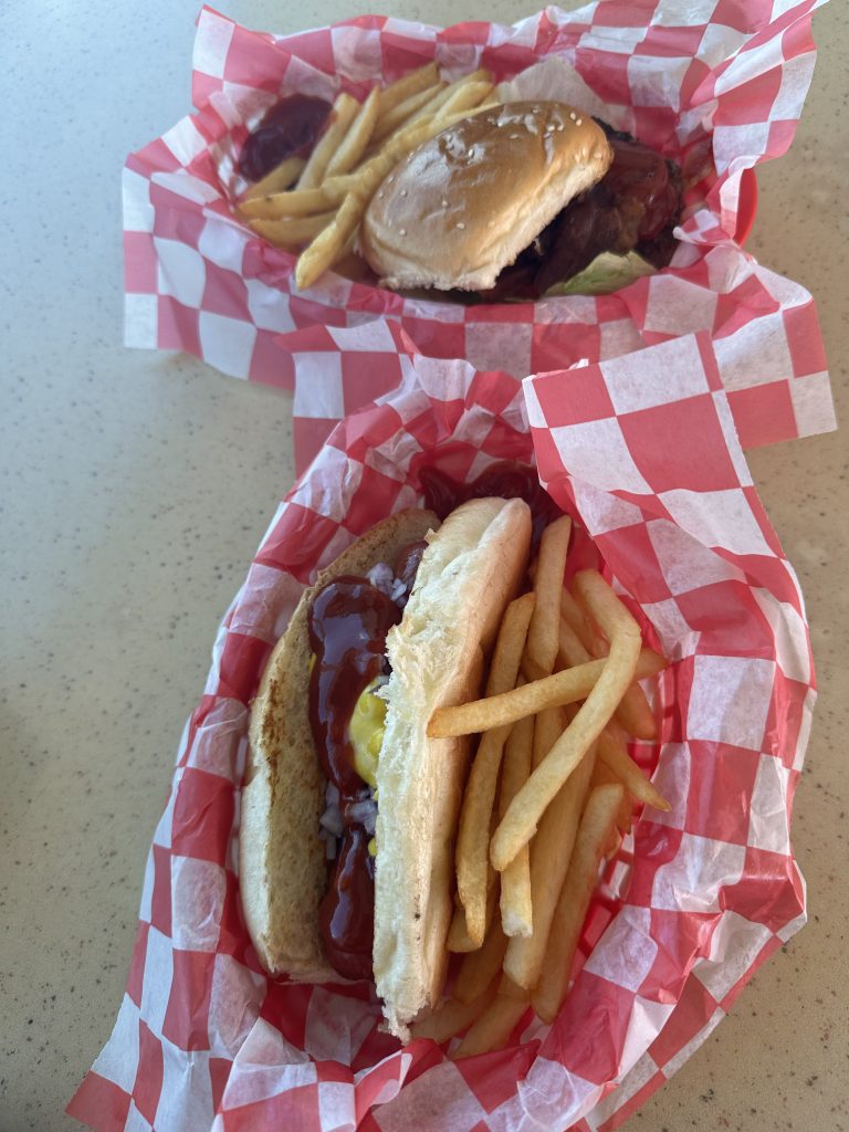 Salty Dog casual dining burger and fries onboard a Princess Cruise
