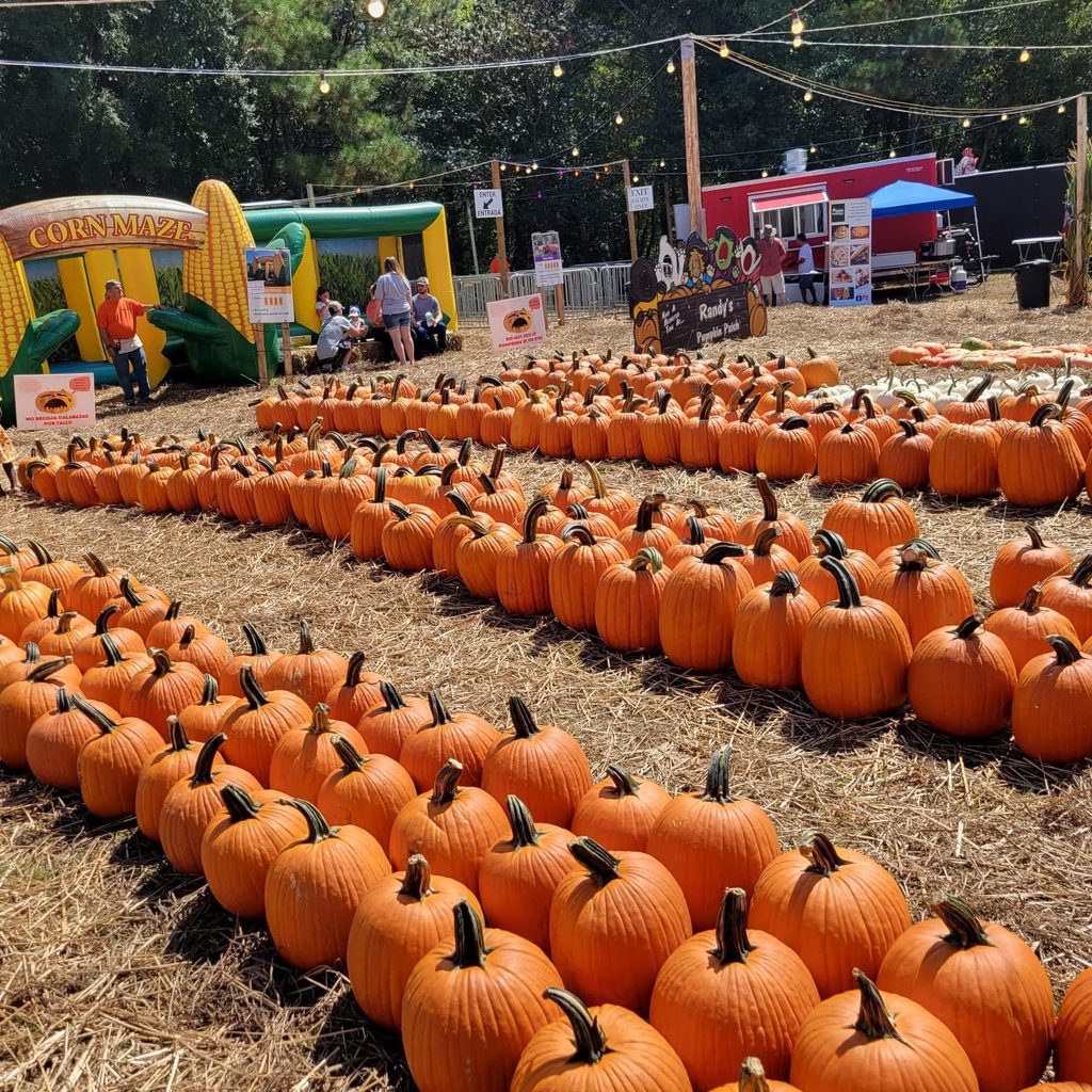 Randy's Pumpkin Patch